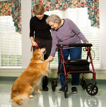 Family member or caregiver with dog visiting elderly lady with mobility issues - for for Masshealth (Medicaid) Planning, Applications, & Appeals Services.